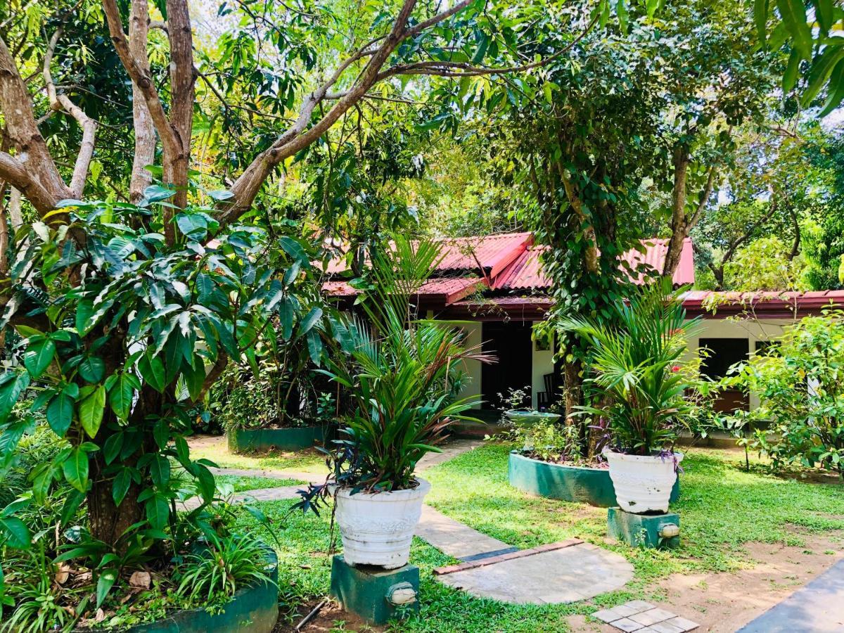 Bangalawa Resort Habarana Exterior foto