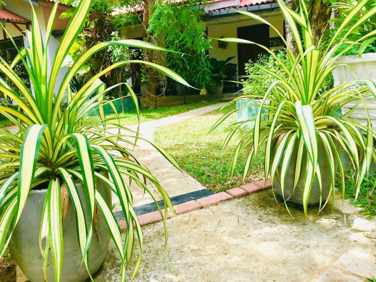 Bangalawa Resort Habarana Exterior foto